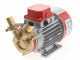 Rover Marina 25 - Pompa elettrica da travaso in bronzo - 12 V