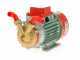 Rover Marina 20 - Pompa elettrica da travaso in bronzo - 24 V