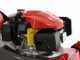 Efco LR 44 PK Comfort Plus - Tagliaerba a scoppio - Motore Emak K 600 OHV da 140 cc