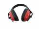 Eurosystems Minieffe M150 RM - Motospazzatrice con raccoglitore multifunzione