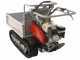 Efco TN 4500 - Motocarriola cingolata cassone estensibile - Portata 450Kg