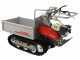 Efco TN 4500 - Motocarriola cingolata cassone estensibile - Portata 450Kg