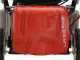 Efco LR 53 TKE Comfort Plus - Rasaerba a scoppio semovente - Motore Emak K 655i OHV da 166 cc