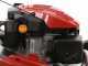 Efco LR 53 VK Allroad PLUS 4 - Rasaerba a scoppio semovente - Motore Emak K 805 OHV da 196 cc
