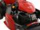 Efco LR 53 VK Allroad PLUS 4 - Rasaerba a scoppio semovente - Motore Emak K 805 OHV da 196 cc