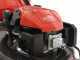 Efco LR 48 TKE Comfort Plus - Rasaerba a scoppio semovente - Motore Emak K 655i OHV da 166 cc