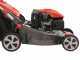 Efco LR 48 TKE Comfort Plus - Rasaerba a scoppio semovente - Motore Emak K 655i OHV da 166 cc