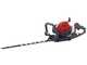 Efco TG 2460 P - Tagliasiepi a scoppio con lama da 60 cm - 21,7 cc