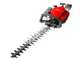 Efco TG 2460 P - Tagliasiepi a scoppio con lama da 60 cm - 21,7 cc