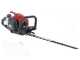 Efco TG 2470 P - Tagliasiepi a scoppio con lama da 75 cm - 21,7 cc