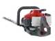 Efco TG 2470 P - Tagliasiepi a scoppio con lama da 75 cm - 21,7 cc