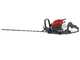 Efco TG 2470 P - Tagliasiepi a scoppio con lama da 75 cm - 21,7 cc