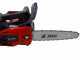 Efco MTT 2500 - Motosega a scoppio da potatura - Lama Carving da 25cm 