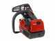 Efco MTT 2500 - Motosega a scoppio da potatura - Lama Carving da 25cm 