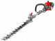 Efco DS 2410 H - Tagliasiepi a scoppio su asta di prolunga - Lama da 50 cm