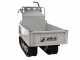 Efco TN 5600 - Motocarriola cingolata cassone estensibile - Portata 550Kg