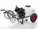 Kit motopompa irrorazione Comet MTP MC25/Loncin 148F-2 con carrello e serbatoio 80L