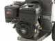 BlackStone DSP 150 B - Biotrituratore a scoppio  - Motore a benzina Briggs &amp; Stratton da 420cc
