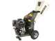 BlackStone DSP 150 BS - Biotrituratore a scoppio  - Motore a benzina Briggs &amp; Stratton da 420cc