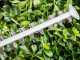 Bosch Universal Hedgecut 60 - Tagliasiepi elettrico con lama da 60 cm - 480W