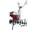 AGT 7500 - Motozappa a benzina 6.5 HP - Honda GX200 196cc - cambio marce 2+1 retromarcia