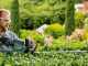 Bosch Universal Hedgecut 50 - Tagliasiepi elettrico con lama da 50 cm - 480W
