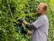 Bosch Advanced Hedgecut 65 - Tagliasiepi elettrico con lama da 65 cm - 500W