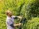 Bosch Advanced Hedgecut 65 - Tagliasiepi elettrico con lama da 65 cm - 500W