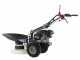 Eurosystems P55 - Motofalciatrice multifunzione rotativa - Honda GCVX 170