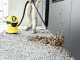 Karcher WD 3 Battery 36 V - Aspirapolvere multiuso a batteria - solidi liquidi e soffiatore