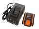 Worx WG349E - Potatore a batteria su asta telescopica - 2Ah da 20V