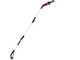 Worx WG349E - Potatore a batteria su asta telescopica - 2Ah da 20V