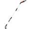 Worx WG349E - Potatore a batteria su asta telescopica - 2Ah da 20V