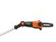 Worx WG349E - Potatore a batteria su asta telescopica - 2Ah da 20V