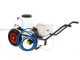 Kit pompa a batteria per irrorazione e carrello e serbatoio 80L - Pompa Comet CBM1500HP