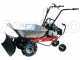 Eurosystems Carry - Carriola a motore trazionata con motore Honda GCVx 170