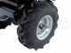 Eurosystems Carry - Carriola a motore trazionata con motore Honda GCVx 170