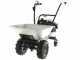 Eurosystems Carry - Carriola a motore trazionata con motore Honda GCVx 170