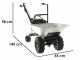 Eurosystems Carry - Carriola a motore trazionata con motore Honda GCVx 170