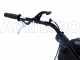 Eurosystems Carry - Carriola a motore trazionata con motore Honda GCVx 170