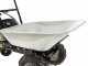 Eurosystems Carry - Carriola a motore trazionata con motore Honda GCVx 170