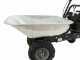 Eurosystems Carry - Carriola a motore trazionata con motore Honda GCVx 170