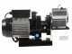 Reber 9602N-8900N N.5 - Grattugia elettrica - Motore a induzione - 600W