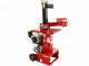 Ceccato Olindo SPL10H GP160 - Spaccalegna a scoppio - Verticale