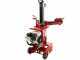 Ceccato Olindo SPL10H GP160 - Spaccalegna a scoppio - Verticale