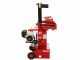 Ceccato Olindo SPL10H GP160 - Spaccalegna a scoppio - Verticale