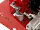 Ceccato Olindo BULL SPL12H GX200 - Spaccalegna a scoppio - Verticale - Honda GX200