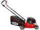 Ama TRX 421 - Tagliaerba a scoppio - 3in1: raccolta + scarico posteriore + mulching