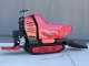 Blue Bird Trasporter 500DL - Motocarriola cingolata cassone dumper 500Kg