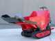 Blue Bird Trasporter 500DL - Motocarriola cingolata cassone dumper 500Kg